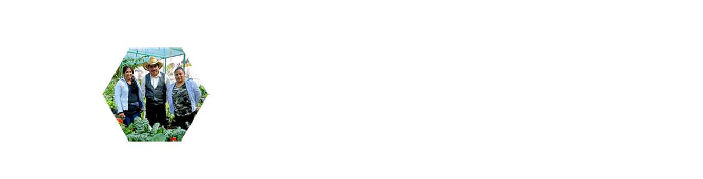 AdrianFinal