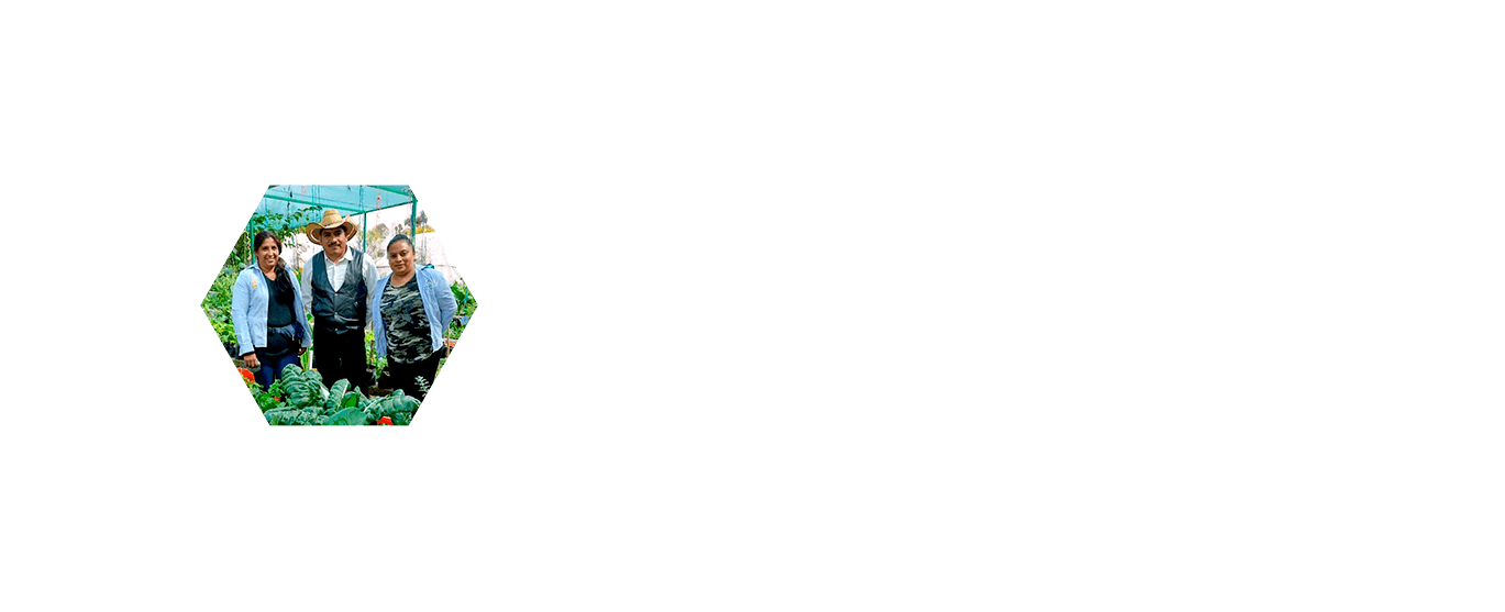 reviews-ipad-adrian